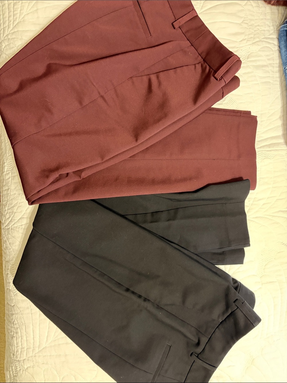Express Ankle Pants - Burgundy and Black